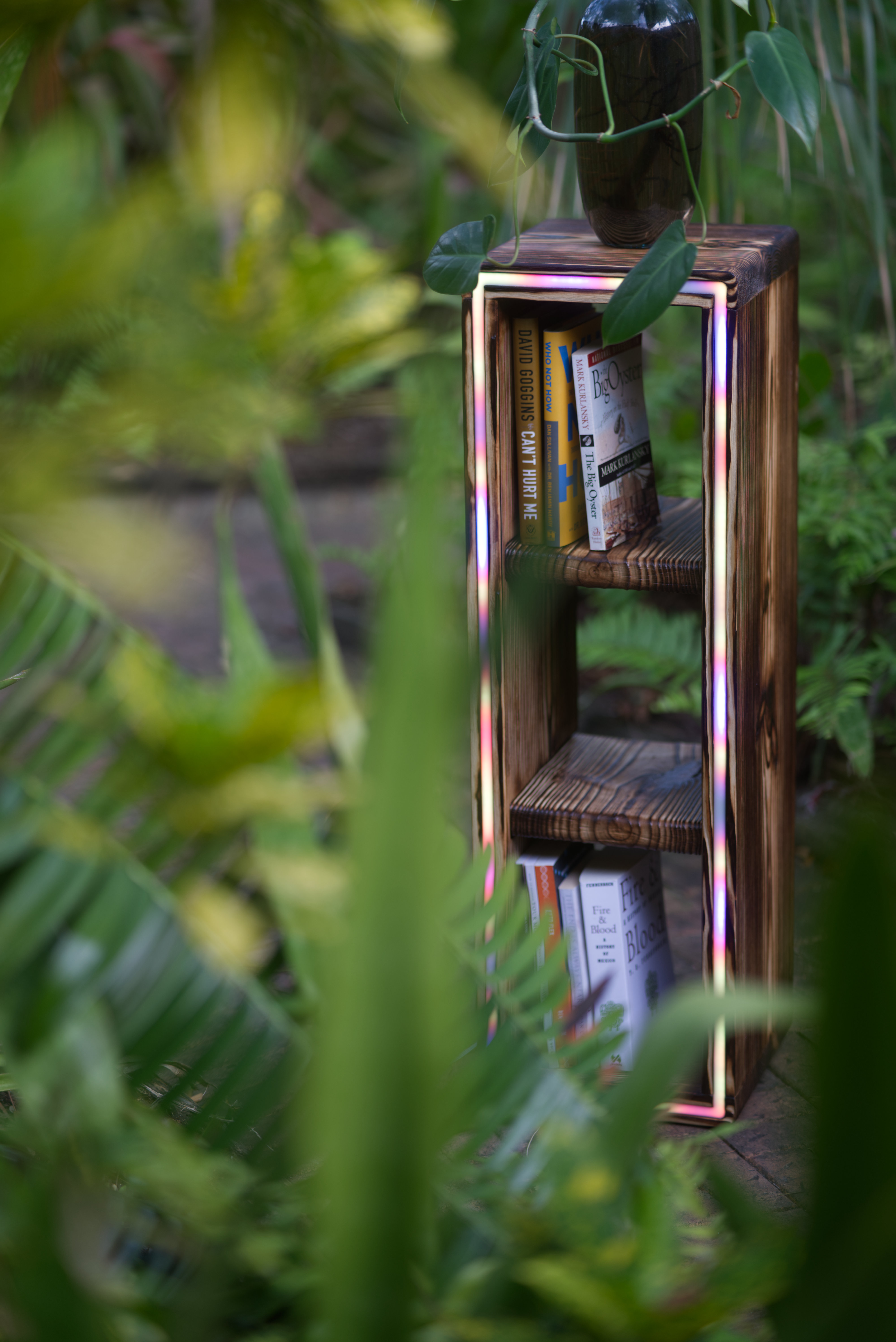 Lit Shelving